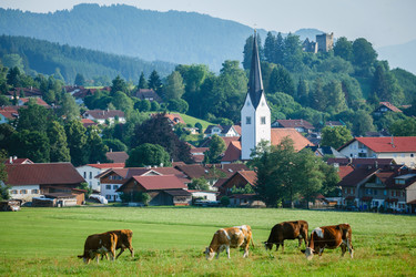 Similar image 10933133