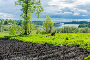 Similar image 10933524