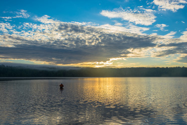 Similar image 10933525