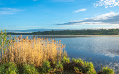 Similar image 10933529