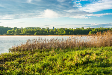 Similar image 10933530