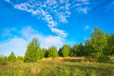 Similar image 10933535