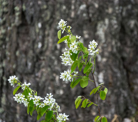 Similar image 10933541