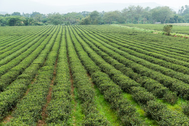 Similar image 10942078