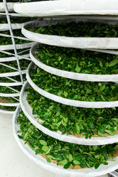 Similar image 10942117