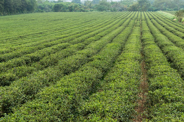 Similar image 10942155