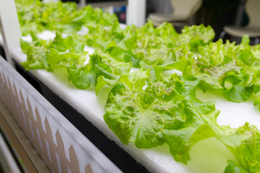 Similar image 10942634