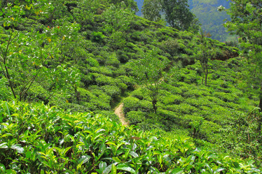 Similar image 10933375