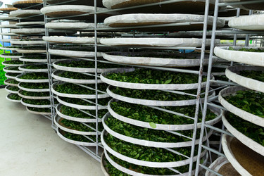 Similar image 10946332