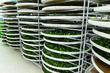 Similar image 10942792