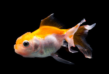 Similar image 10941965