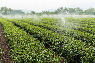 Similar image 10946316