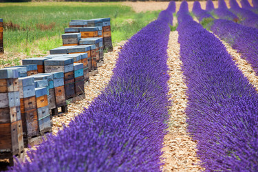 Similar image 10933152