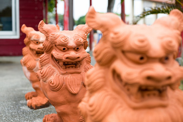 Similar image 10946421