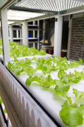 Similar image 10946233