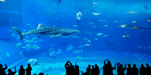 Similar image 10946493