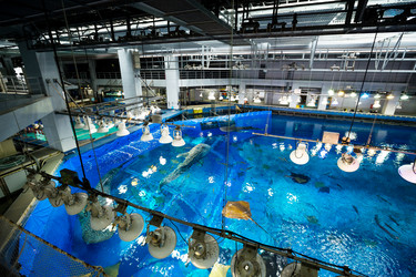 Similar image 10946434