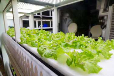 Similar image 10946480