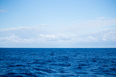 Similar image 10942890