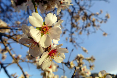 Similar image 10933442