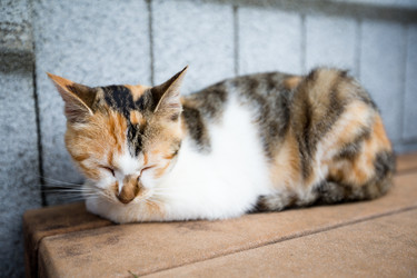 Similar image 10942457