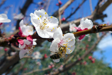 Similar image 10933445