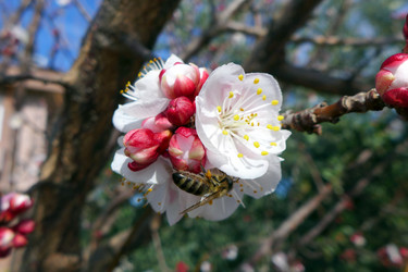 Similar image 10933446