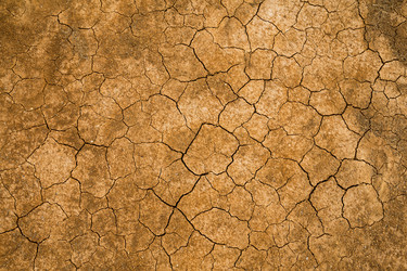 Similar image 10942769