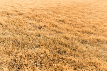 Similar image 10942496