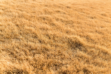 Similar image 10942497