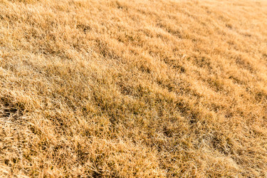 Similar image 10942498