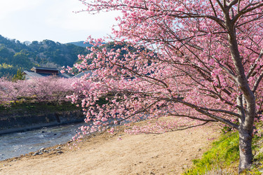 Similar image 10942501