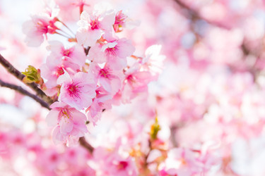 Similar image 10942516