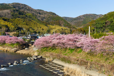 Similar image 10942607