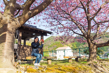 Similar image 10946238