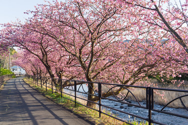 Similar image 10942737