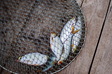 Similar image 10933092