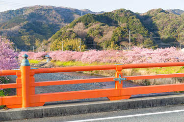 Similar image 10941800