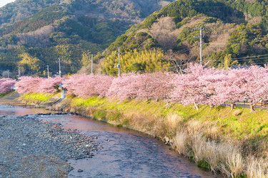 Similar image 10941819