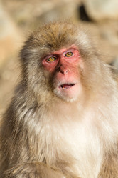 Similar image 10942538