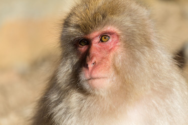 Similar image 10942596