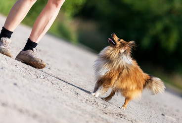 Similar image 10934519