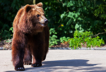 Similar image 10934528