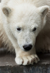 Similar image 10934532