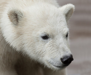 Similar image 10934534