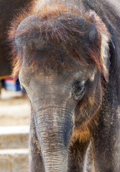 Similar image 10934536