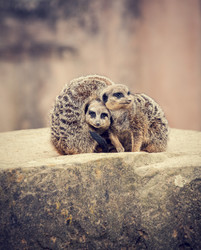 Similar image 10934547