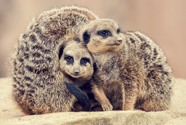 Similar image 10934549