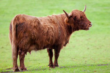 Similar image 10934551