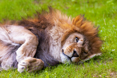 Similar image 10934554